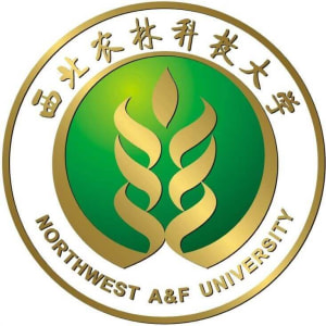 招聘者头像